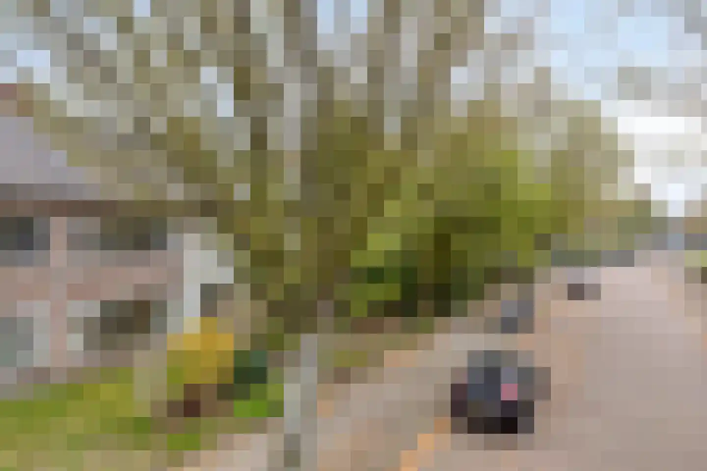 Poggenbeekstraat 25 Eindhoven thumbnail 35