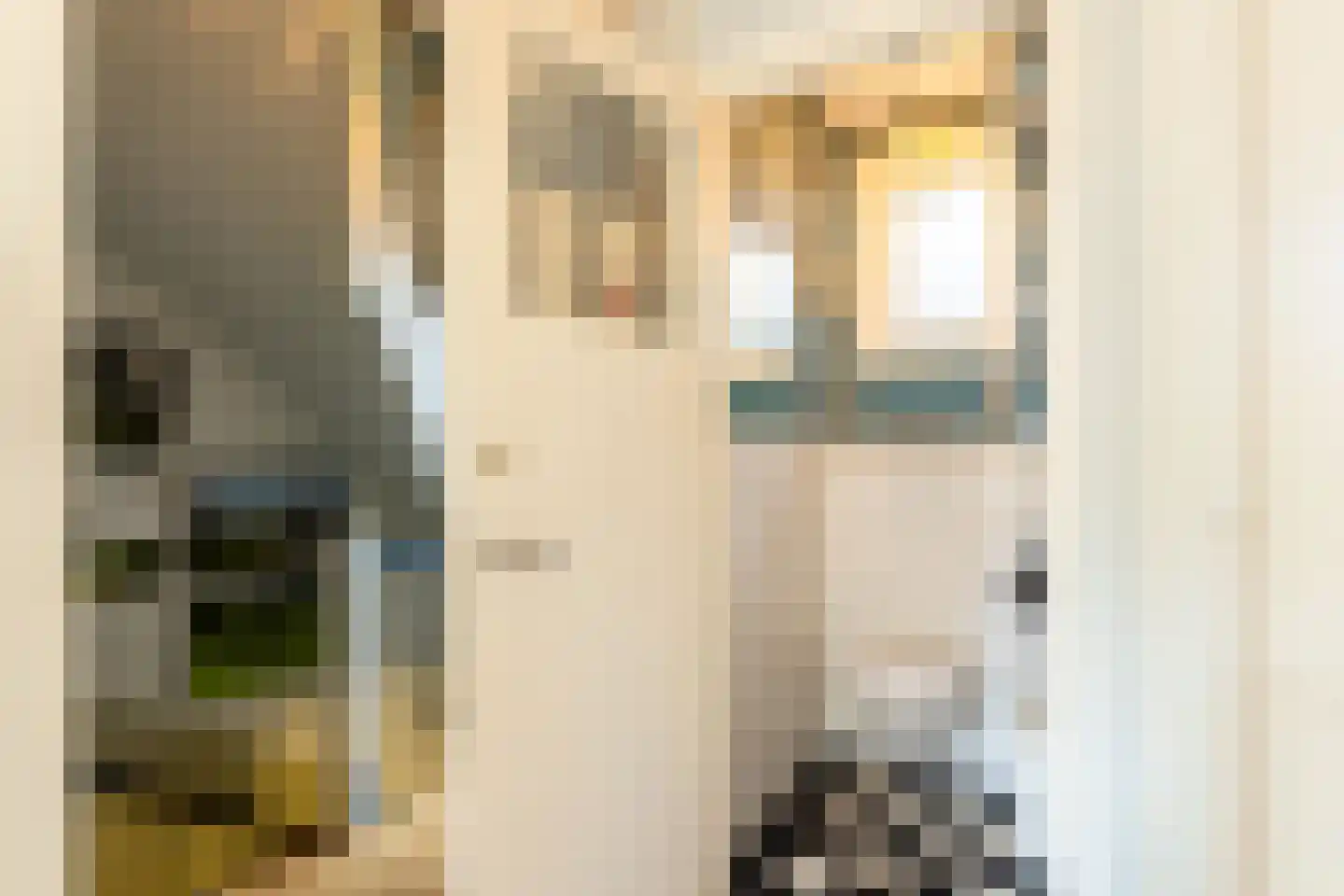 Poggenbeekstraat 3 2 Amsterdam thumbnail 16