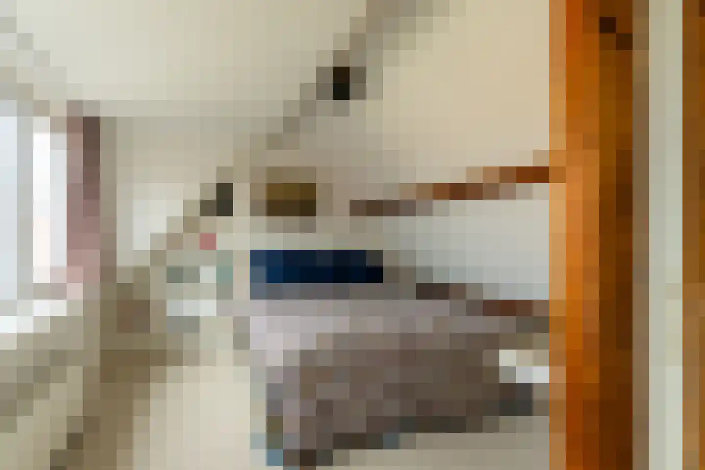 Poggenbeekstraat 3 2 Amsterdam thumbnail 32