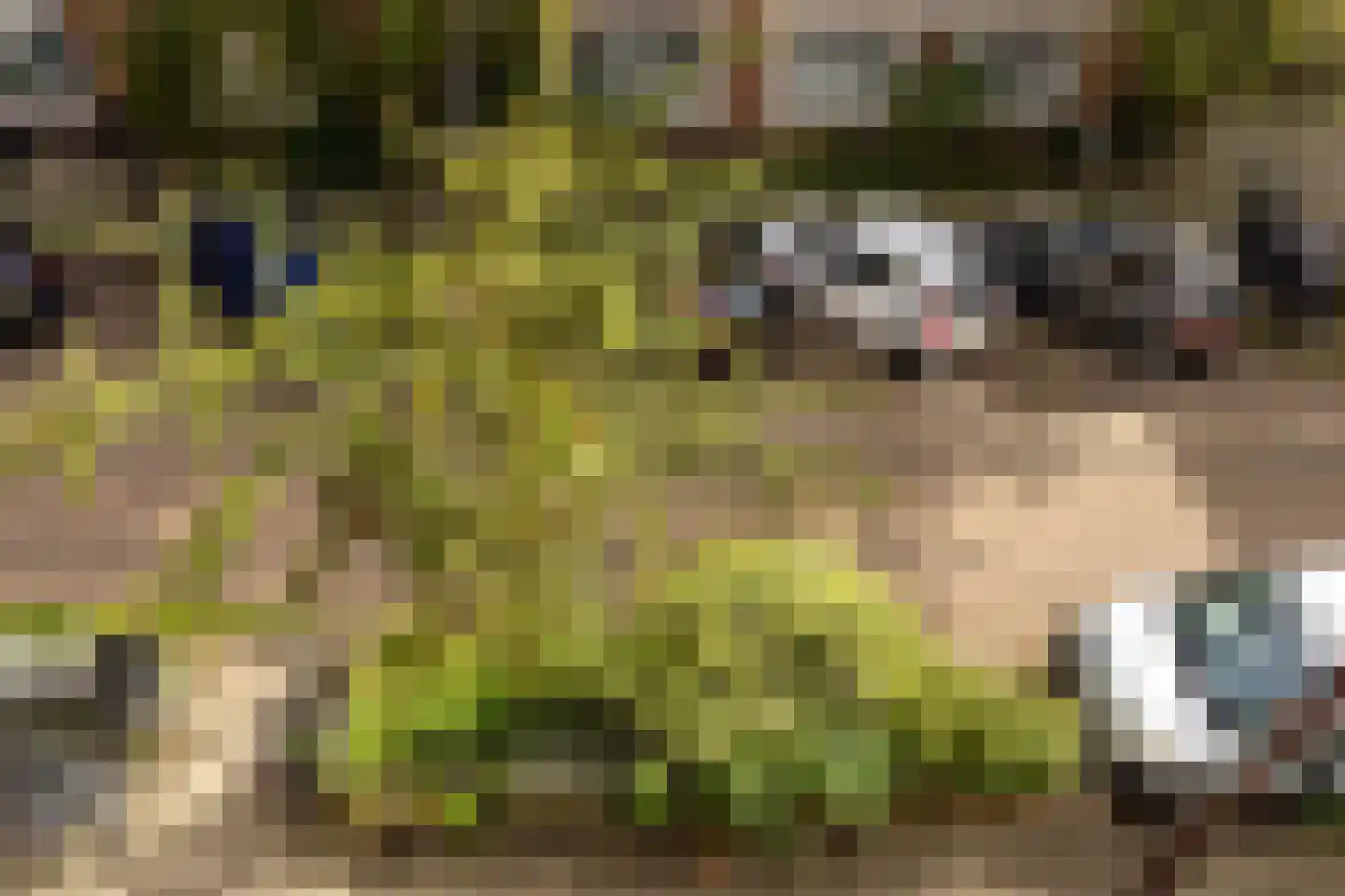 Poggenbeekstraat 3 2 Amsterdam thumbnail 7