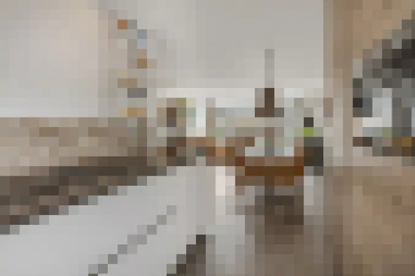 Poggenbeekstraat 3 Ede thumbnail 10