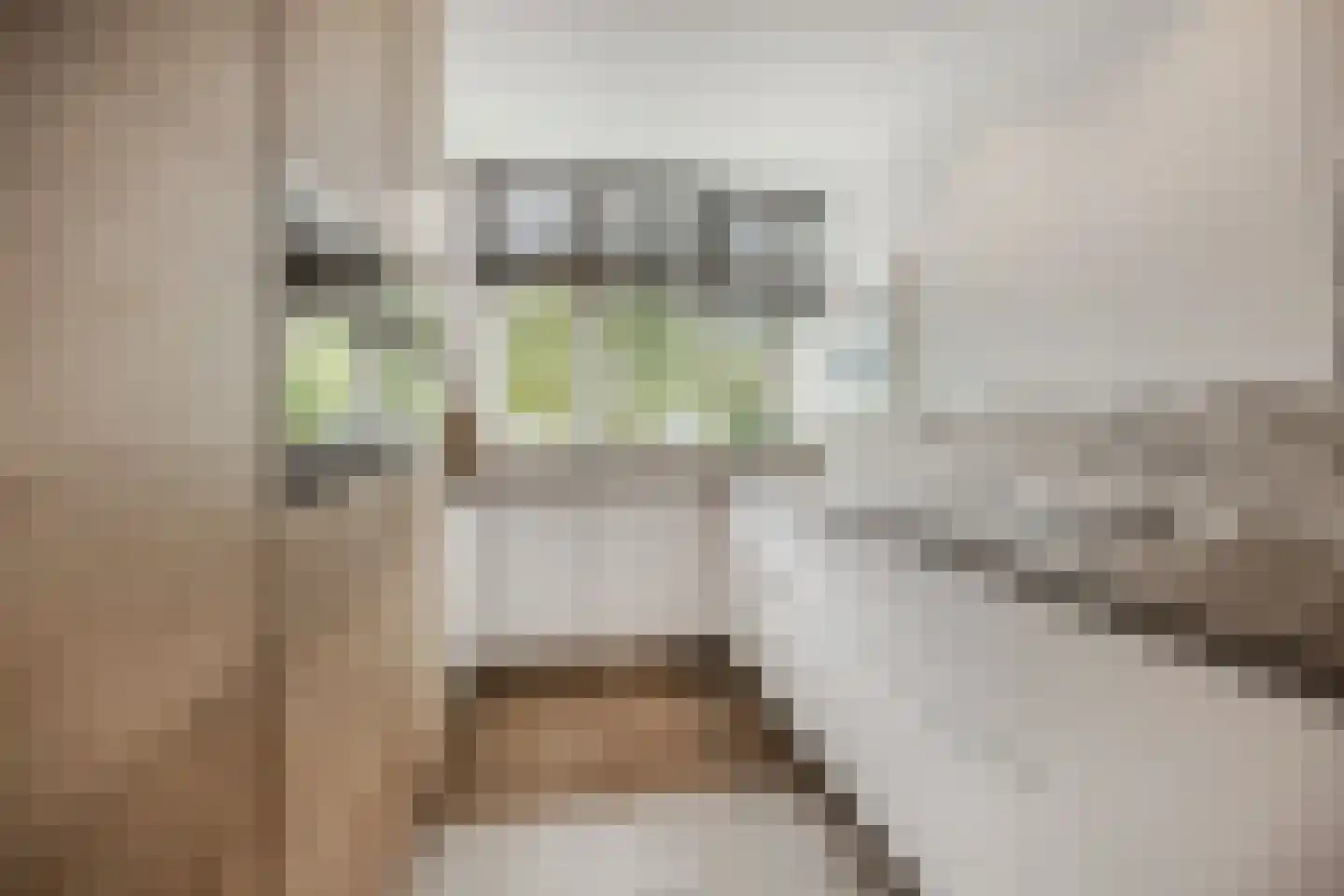 Poggenbeekstraat 3 Ede thumbnail 12
