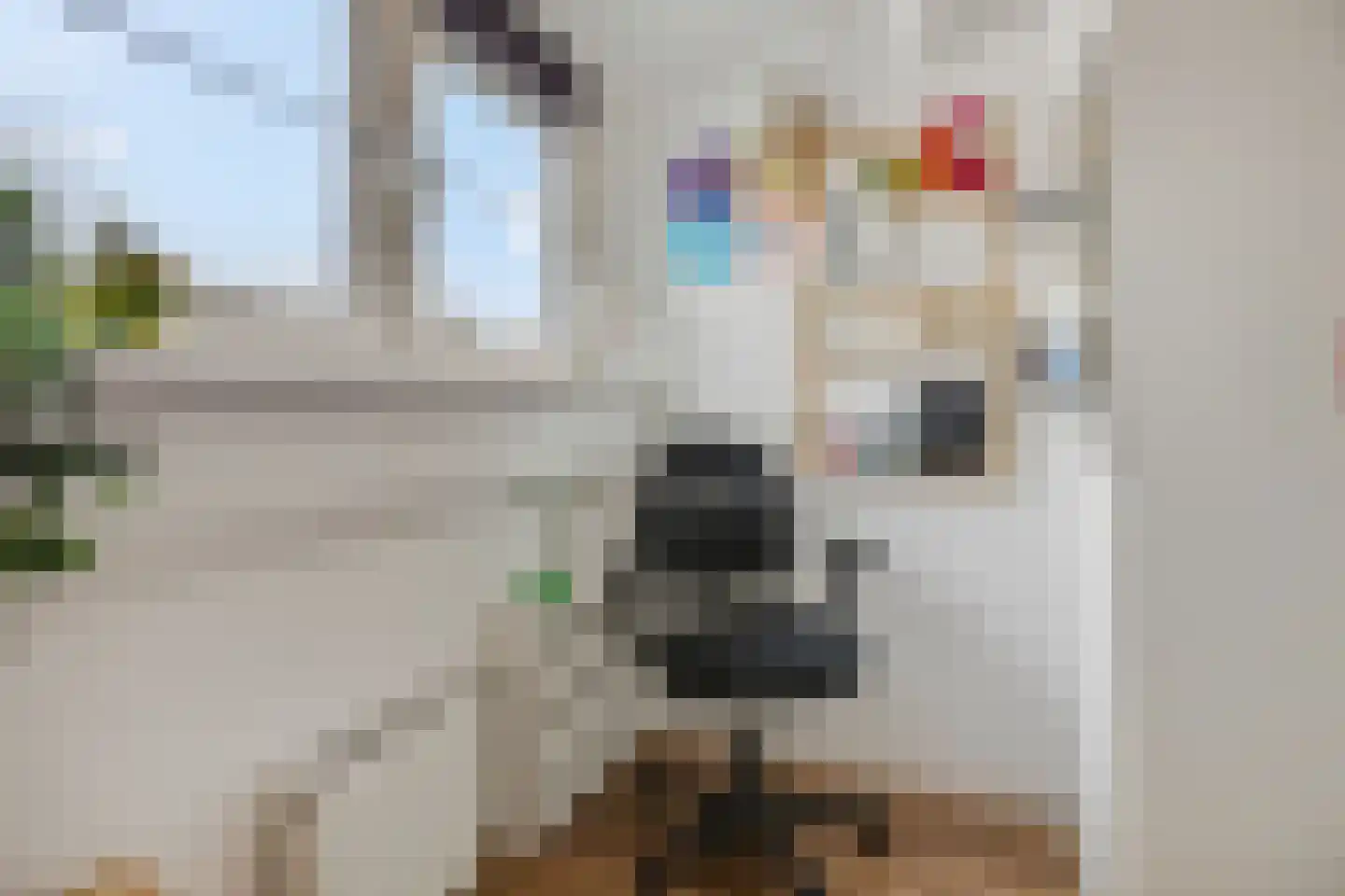 Poggenbeekstraat 3 Ede thumbnail 21