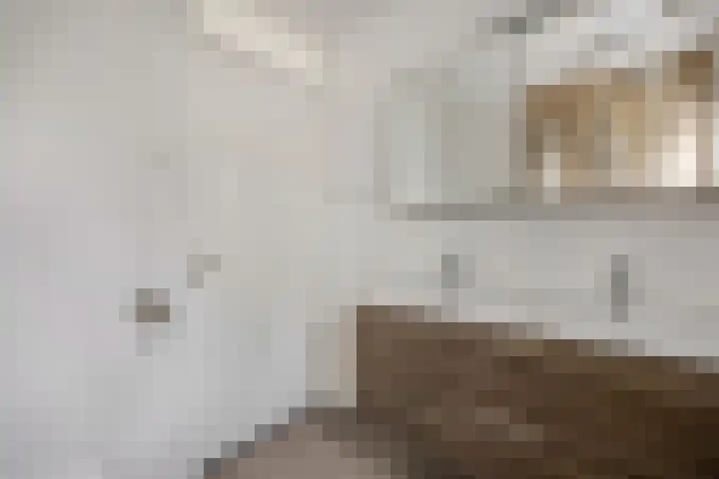 Poggenbeekstraat 3 Ede thumbnail 23