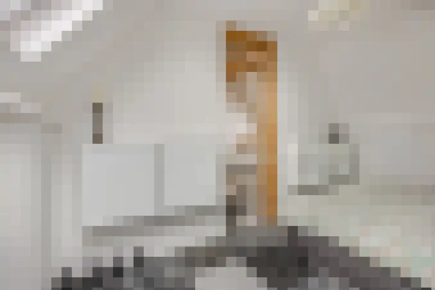 Poggenbeekstraat 3 Ede thumbnail 29