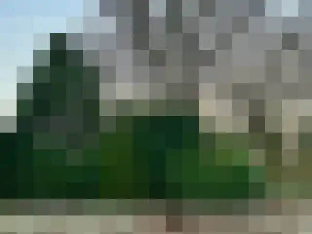 Poggenbeekstraat 3 Ede thumbnail 35
