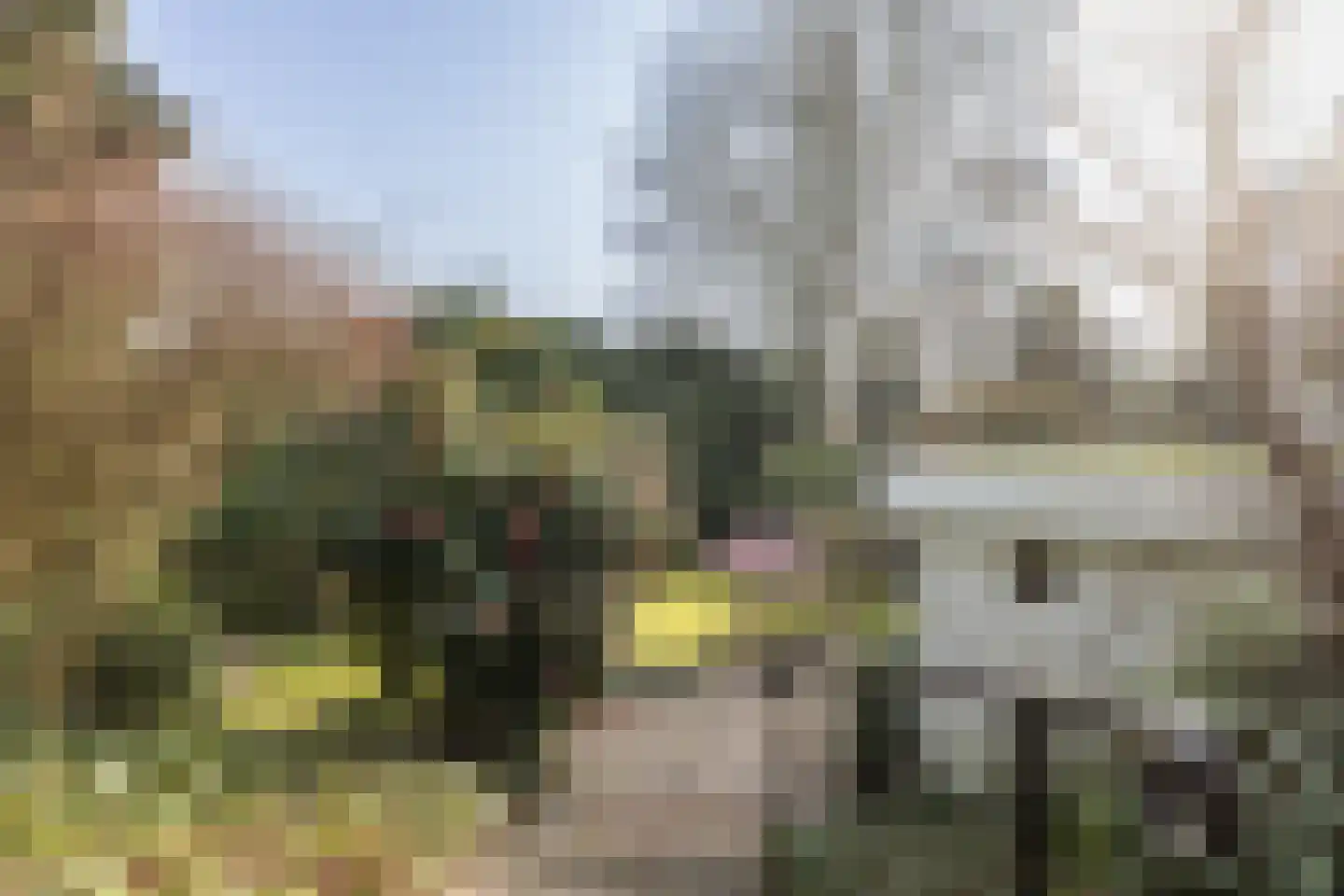 Poggenbeekstraat 33 Arnhem thumbnail 25