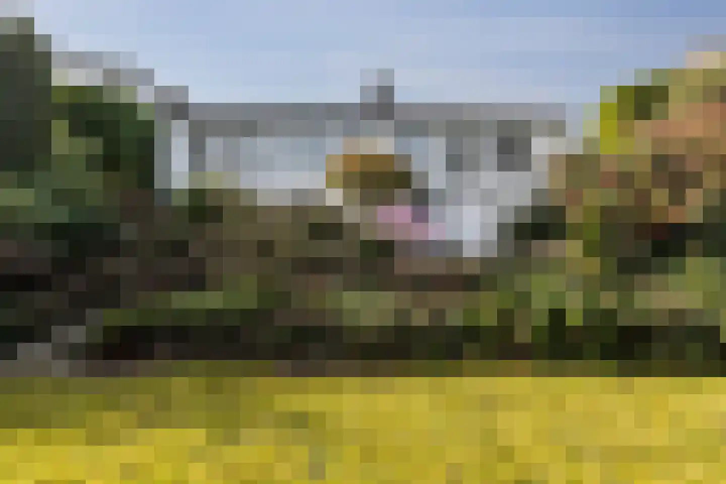 Poggenbeekstraat 33 Arnhem thumbnail 28