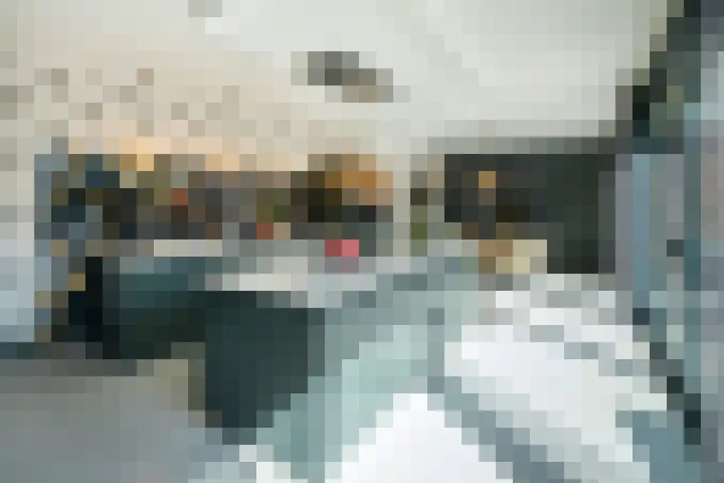 Poirterslaan 14 Eindhoven thumbnail 15