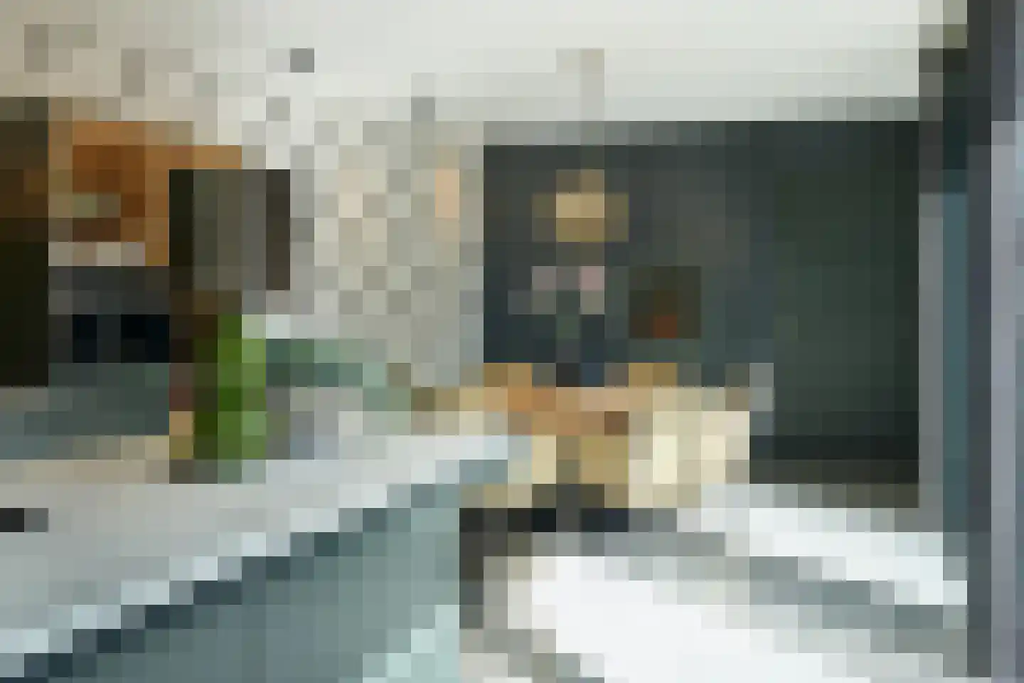 Poirterslaan 14 Eindhoven thumbnail 16