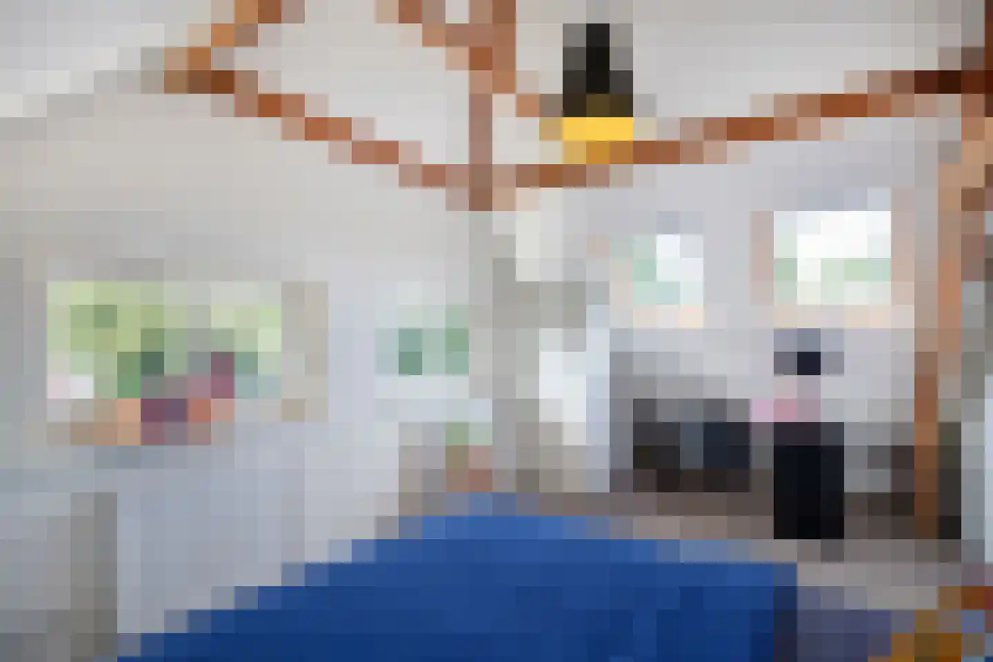 Poirterslaan 14 Eindhoven thumbnail 32