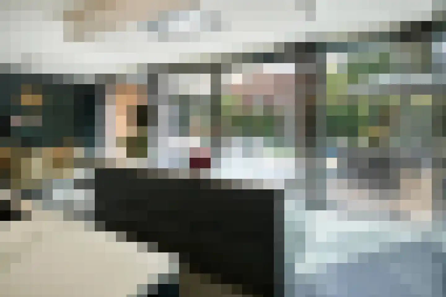 Poirterslaan 14 Eindhoven thumbnail 5