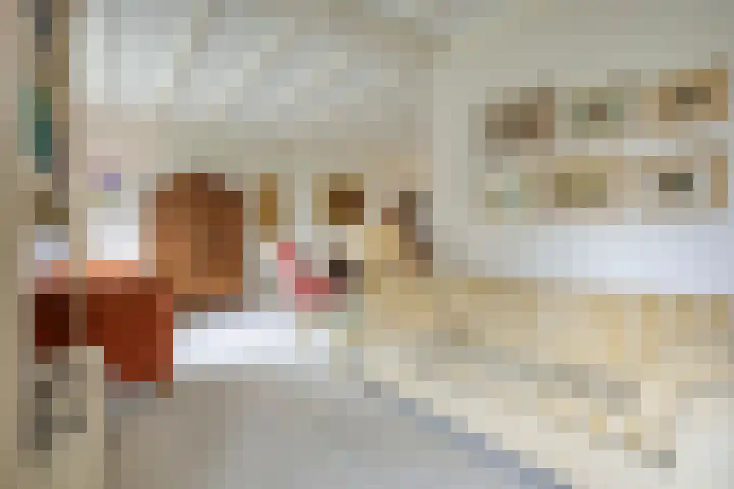 Poirterslaan 3 Eindhoven thumbnail 10