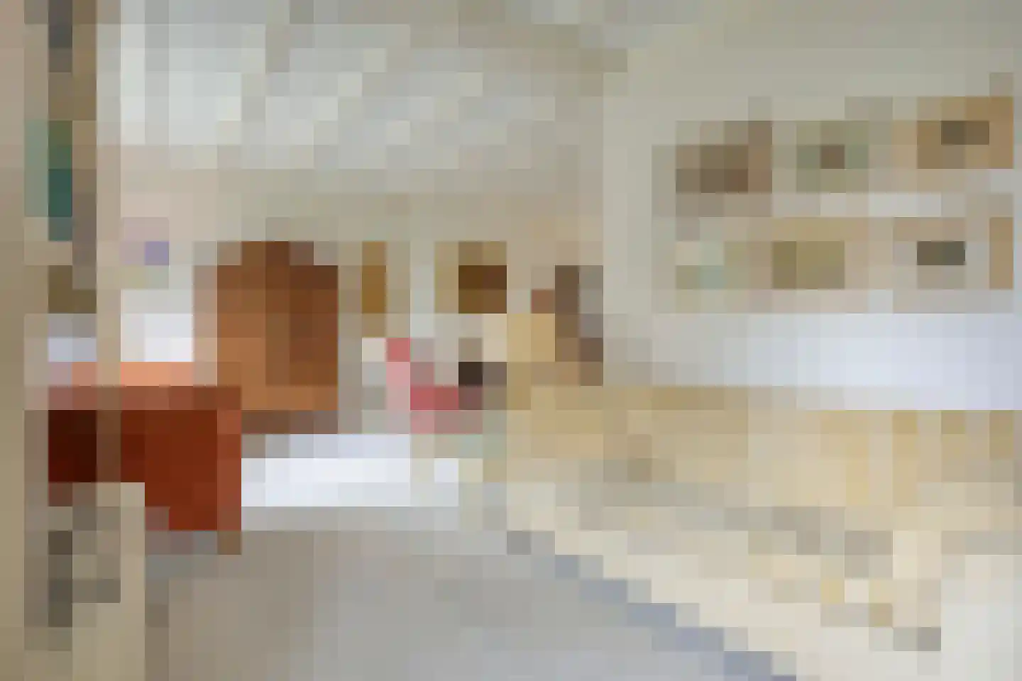 Poirterslaan 3 Eindhoven thumbnail 10
