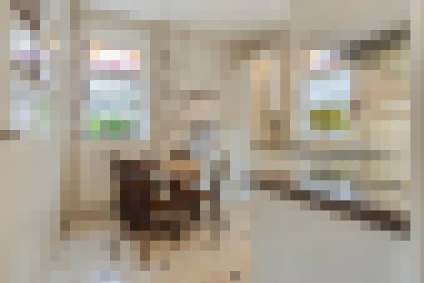 Poirterslaan 3 Eindhoven thumbnail 16