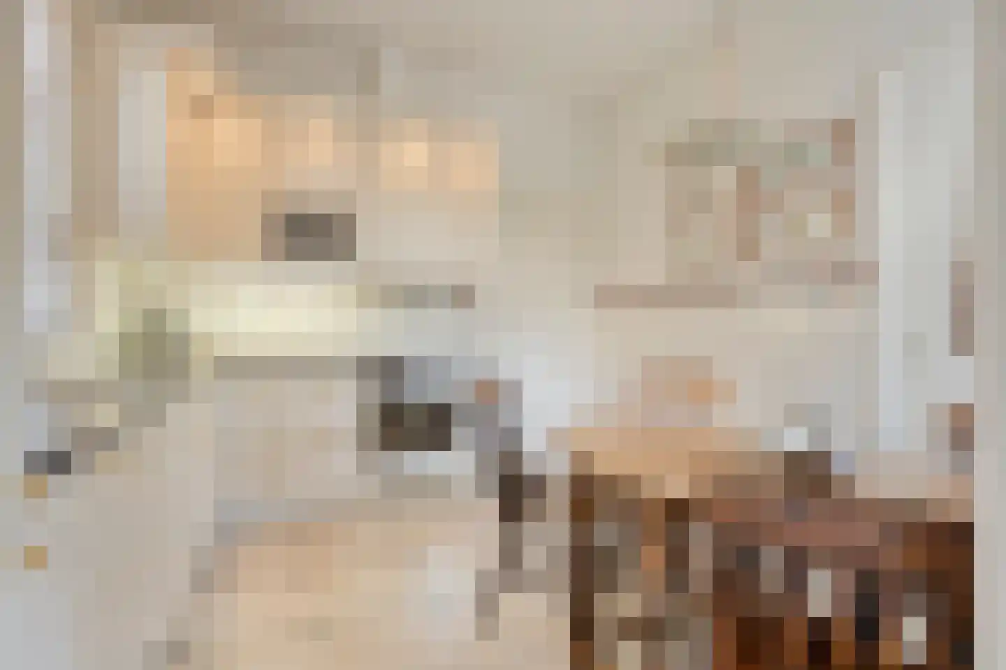 Poirterslaan 3 Eindhoven thumbnail 17