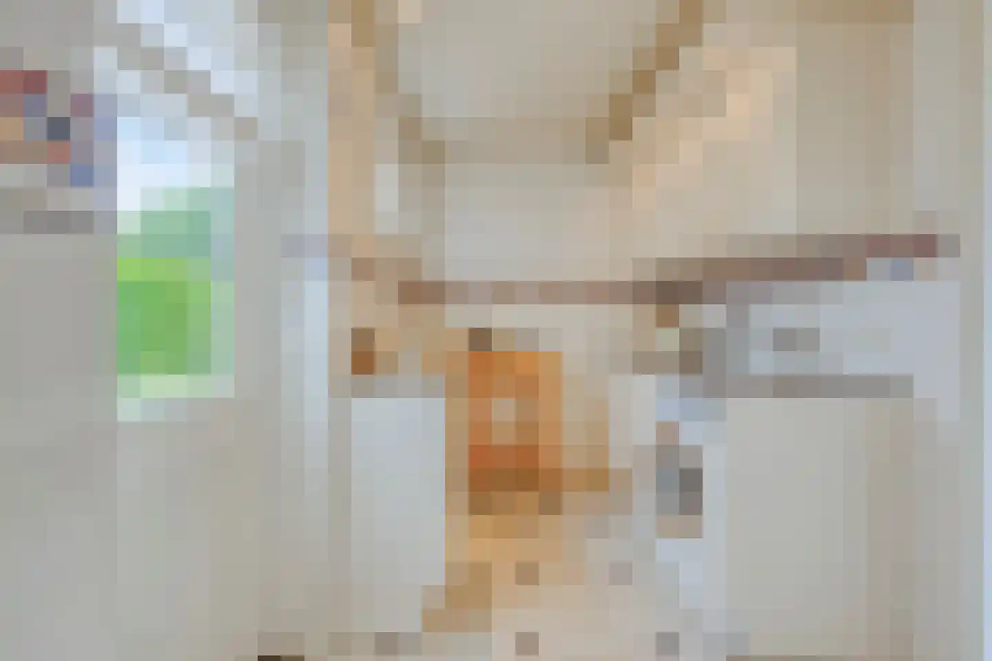 Poirterslaan 3 Eindhoven thumbnail 18