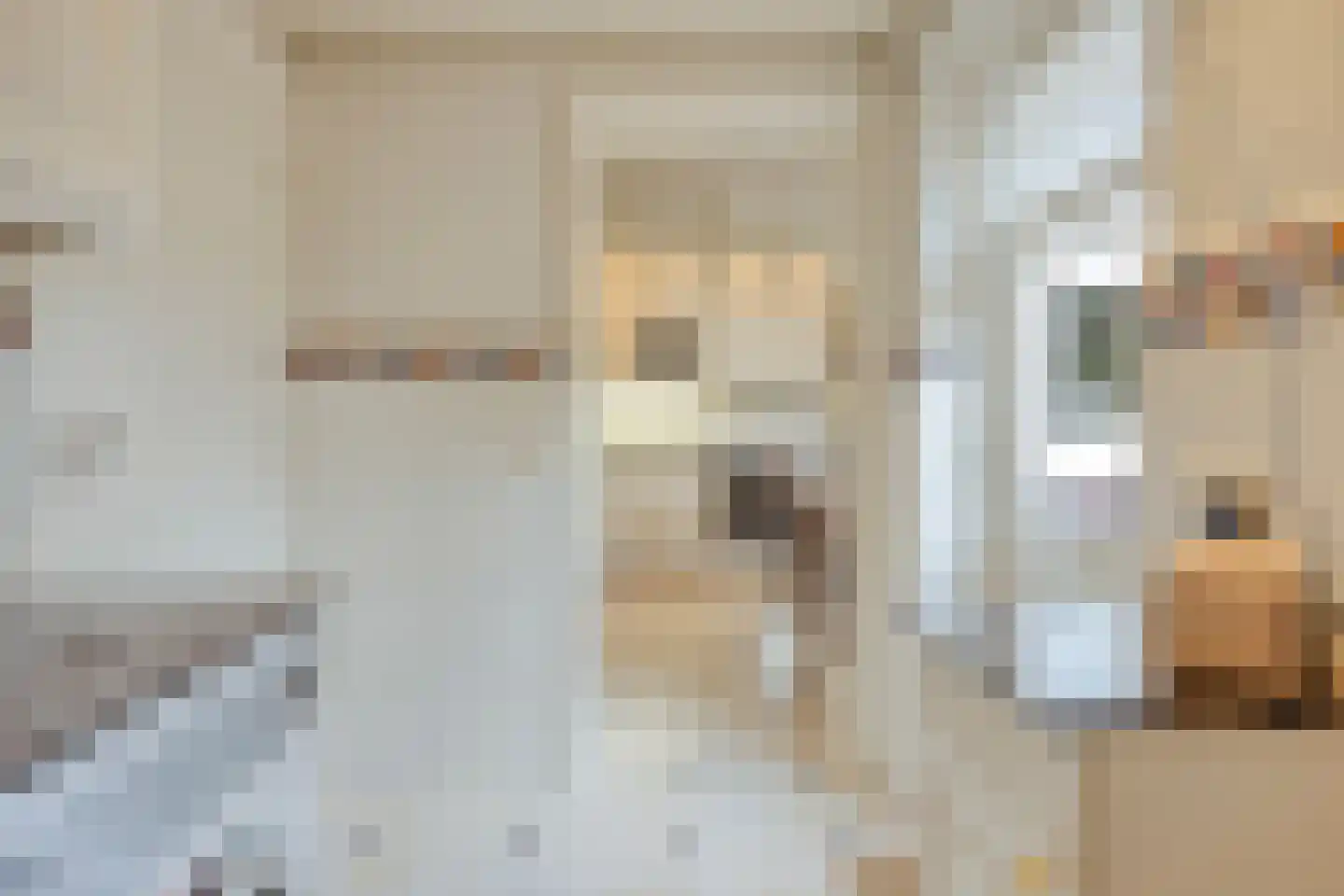 Poirterslaan 3 Eindhoven thumbnail 19