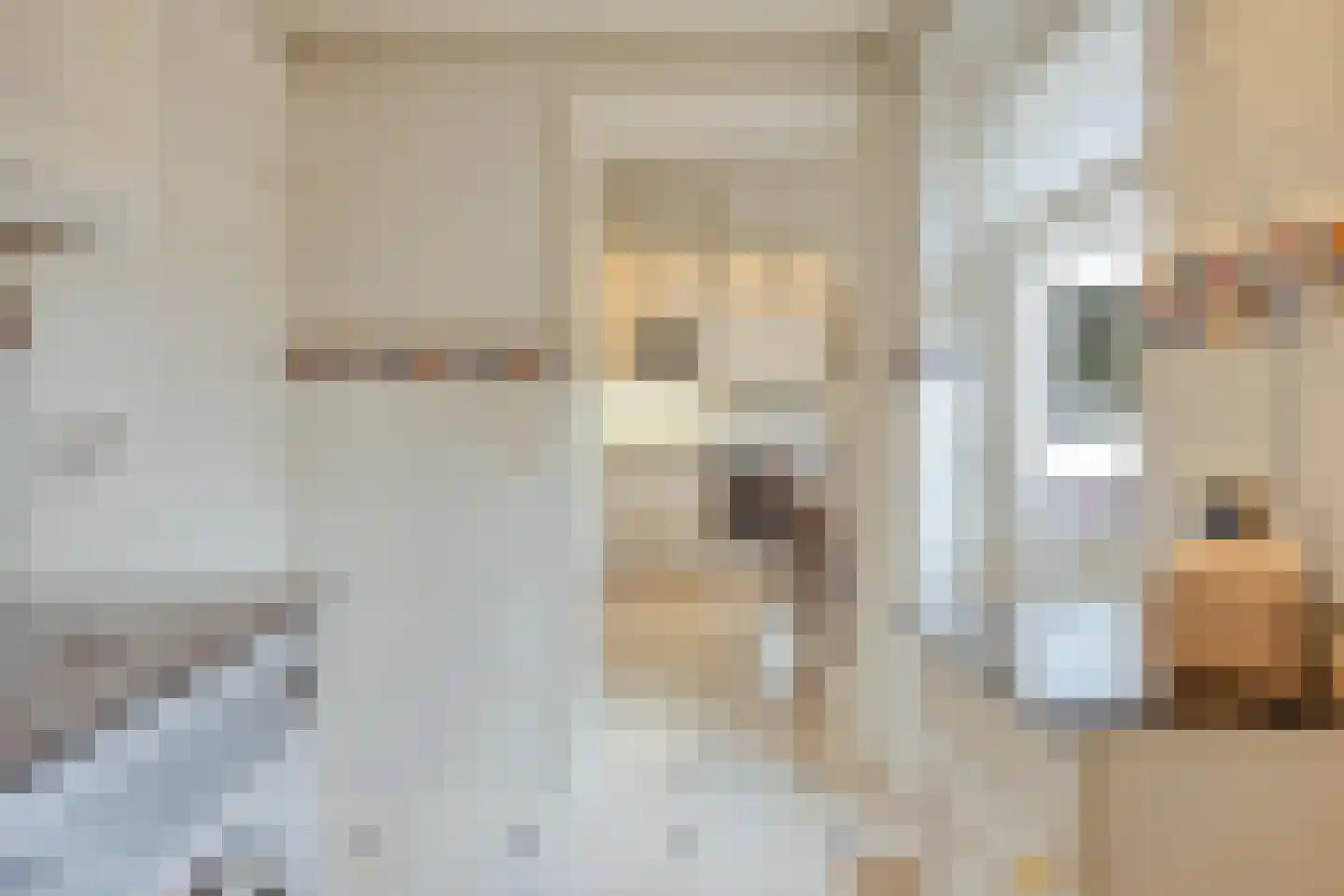 Poirterslaan 3 Eindhoven thumbnail 19