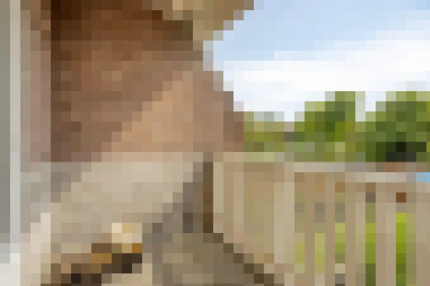 Poirterslaan 3 Eindhoven thumbnail 32