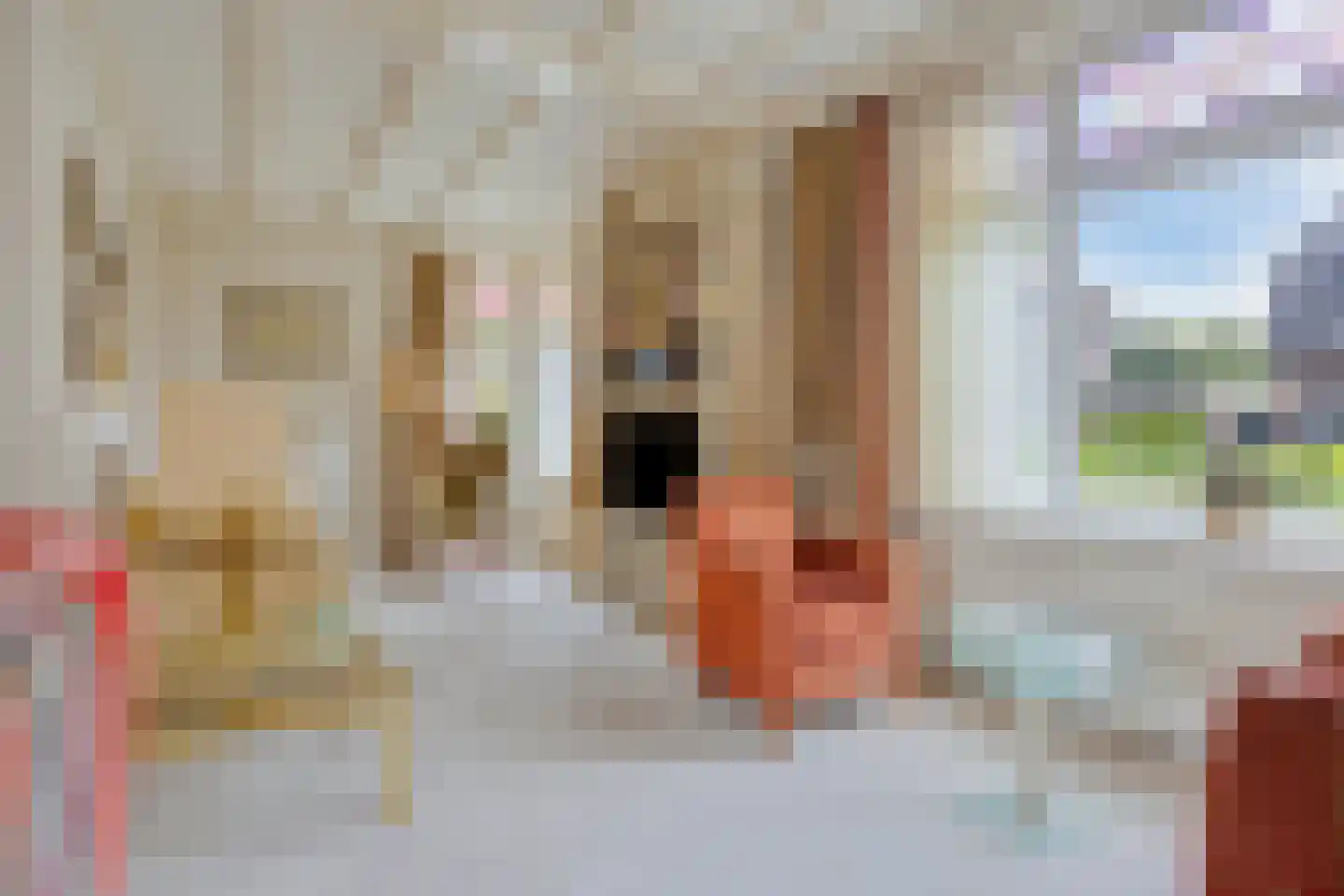 Poirterslaan 3 Eindhoven thumbnail 7