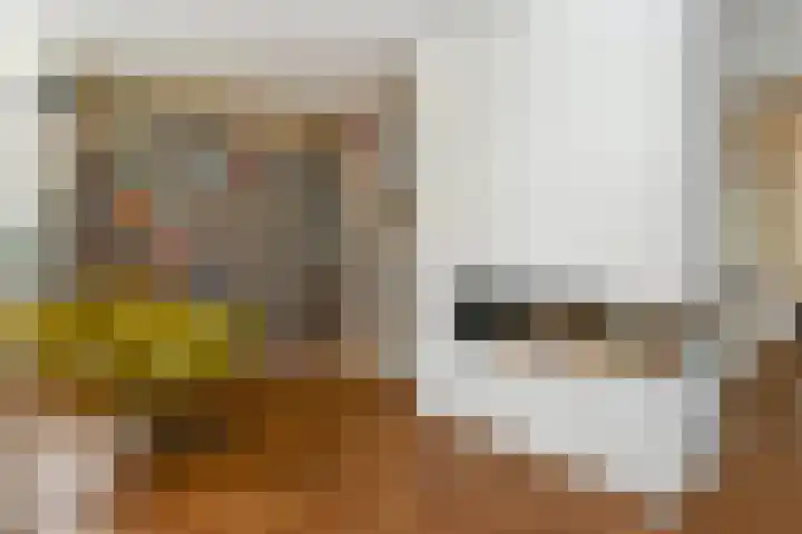 Poirterslaan 50 Eindhoven thumbnail 12