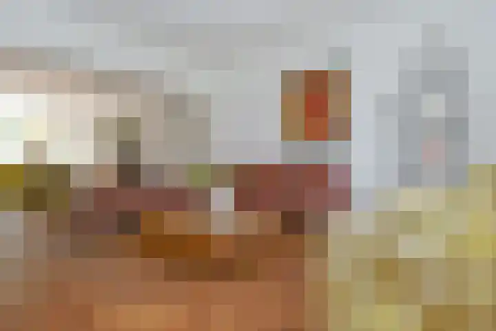 Poirterslaan 50 Eindhoven thumbnail 13