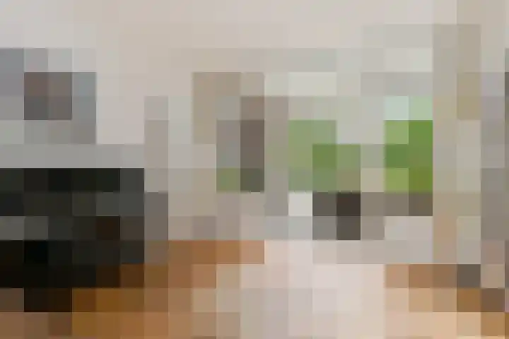 Poirterslaan 50 Eindhoven thumbnail 16
