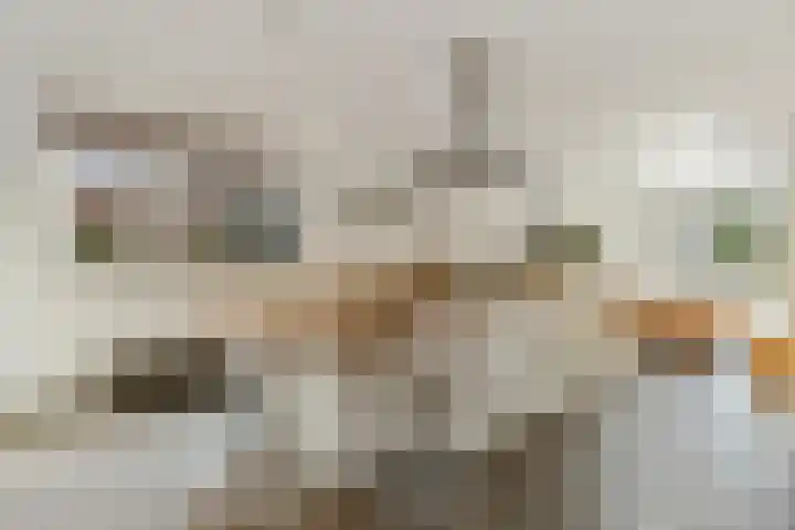 Poirterslaan 50 Eindhoven thumbnail 17