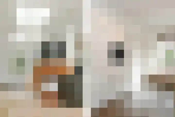 Poirterslaan 50 Eindhoven thumbnail 20