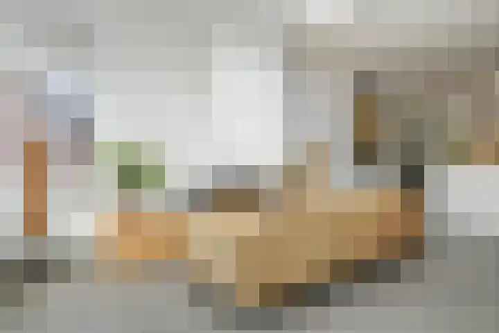 Poirterslaan 50 Eindhoven thumbnail 22