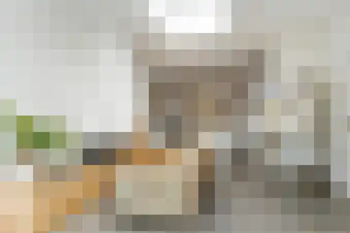 Poirterslaan 50 Eindhoven thumbnail 23