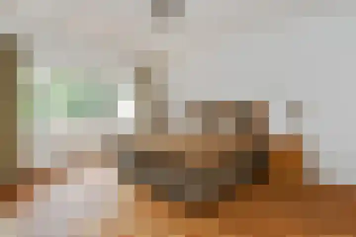 Poirterslaan 50 Eindhoven thumbnail 32
