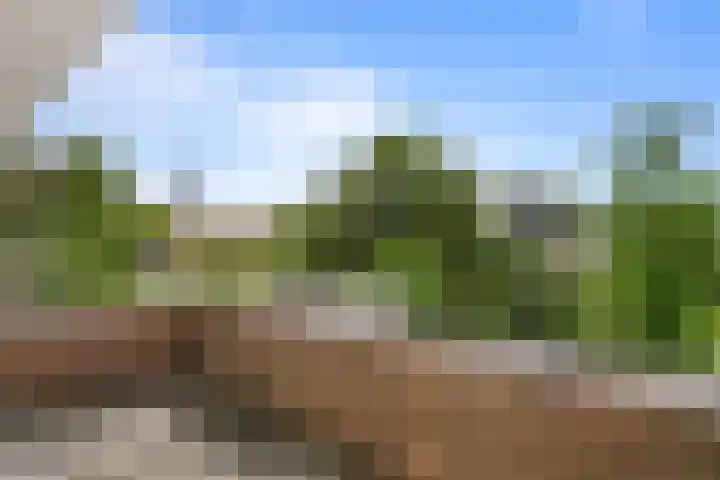 Poirterslaan 50 Eindhoven thumbnail 34