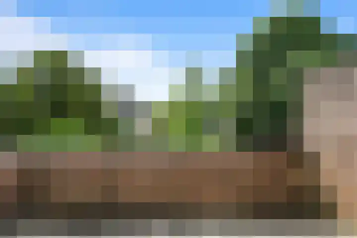 Poirterslaan 50 Eindhoven thumbnail 35