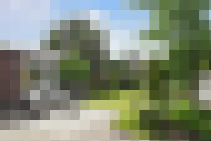 Poirterslaan 50 Eindhoven thumbnail 4