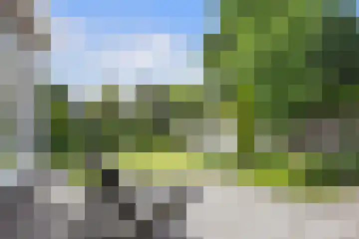 Poirterslaan 50 Eindhoven thumbnail 47