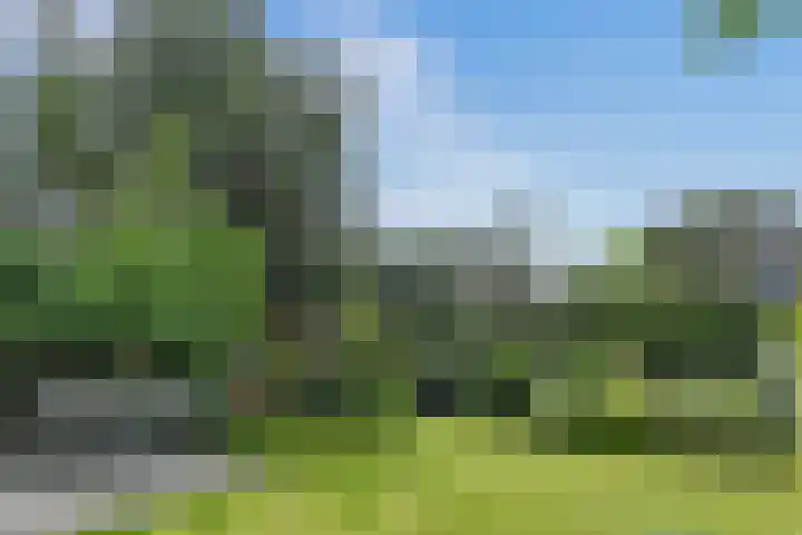 Poirterslaan 50 Eindhoven thumbnail 49
