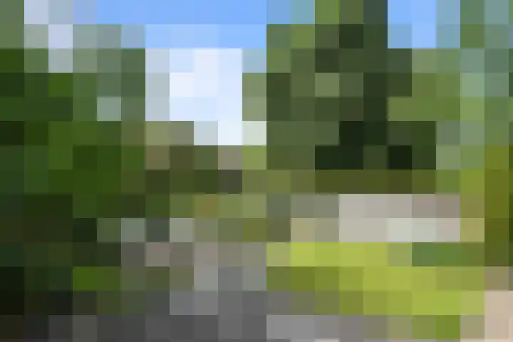 Poirterslaan 50 Eindhoven thumbnail 50