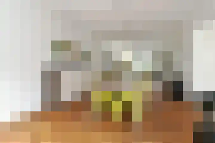Poirterslaan 50 Eindhoven thumbnail 7