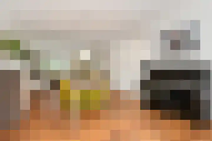 Poirterslaan 50 Eindhoven thumbnail 8