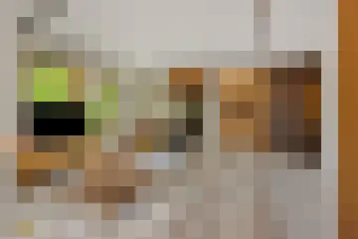 Poirtersstraat 12 Helvoirt thumbnail 12