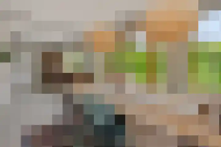 Poirtersstraat 12 Helvoirt thumbnail 16