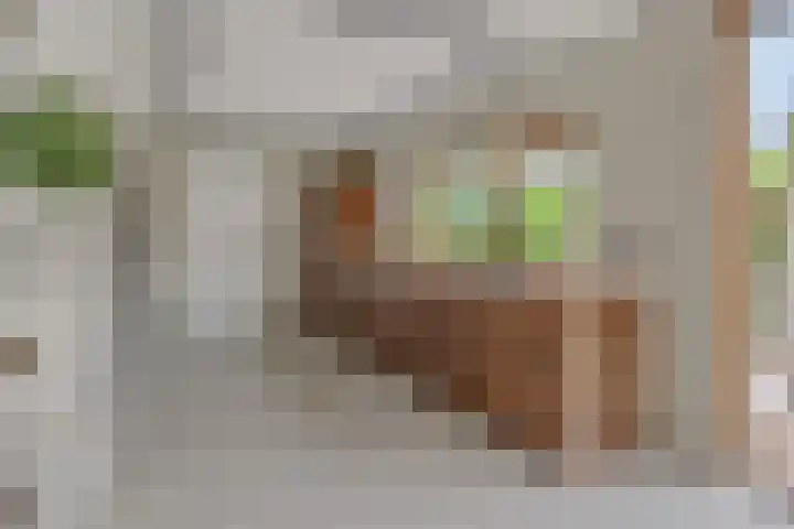 Poirtersstraat 12 Helvoirt thumbnail 18