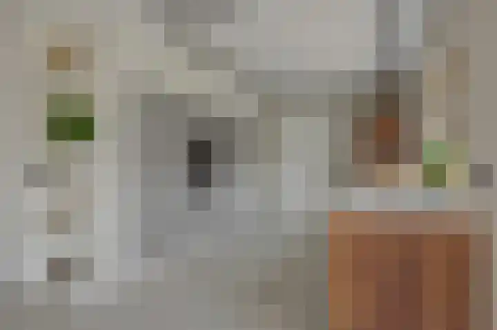 Poirtersstraat 12 Helvoirt thumbnail 19