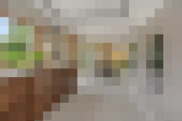 Poirtersstraat 12 Helvoirt thumbnail 20