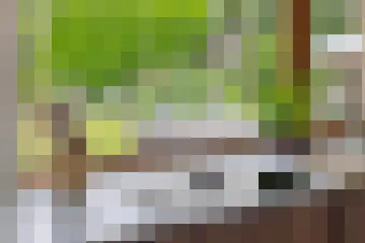 Poirtersstraat 12 Helvoirt thumbnail 23
