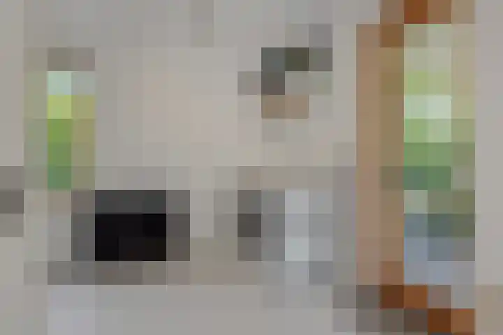 Poirtersstraat 12 Helvoirt thumbnail 28