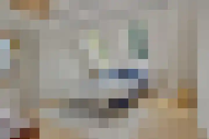 Poirtersstraat 12 Helvoirt thumbnail 30