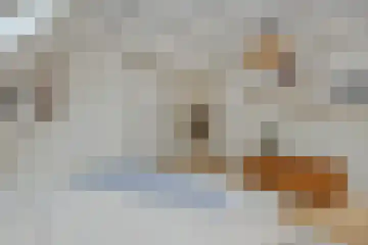 Poirtersstraat 12 Helvoirt thumbnail 31
